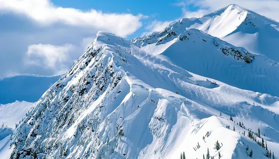 冬季雪景主题