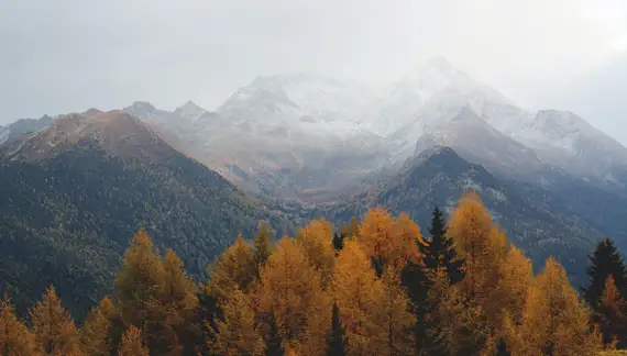 青少风景